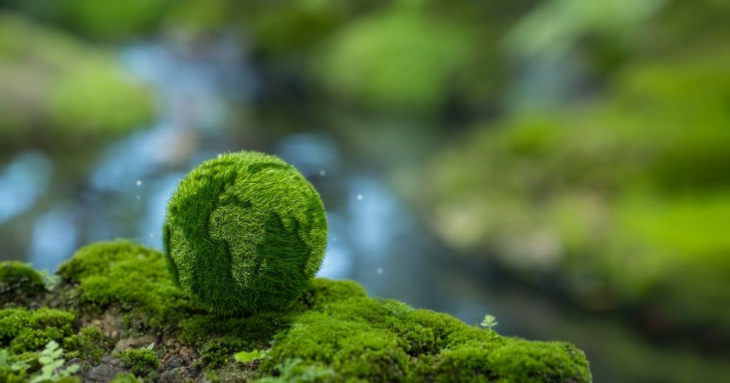 esg 碳權