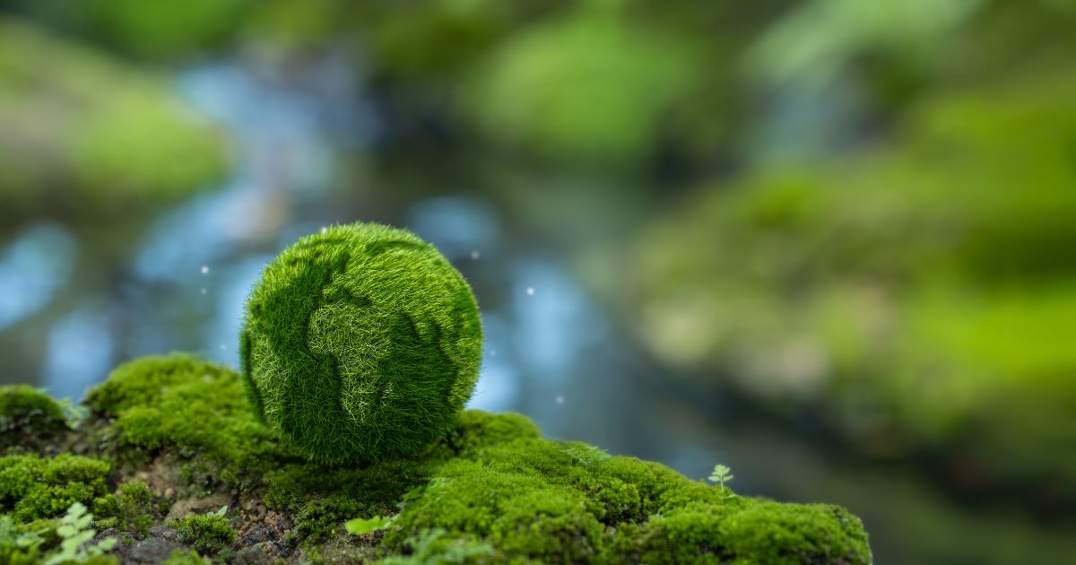 esg 碳權